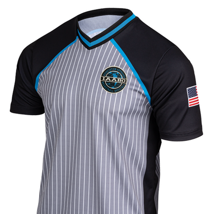 IAABO Board 4 Grey V-Neck